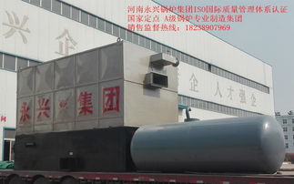 西安6噸燃氣蒸汽鍋爐熱銷與河南軟件開發(fā)的雙重機遇